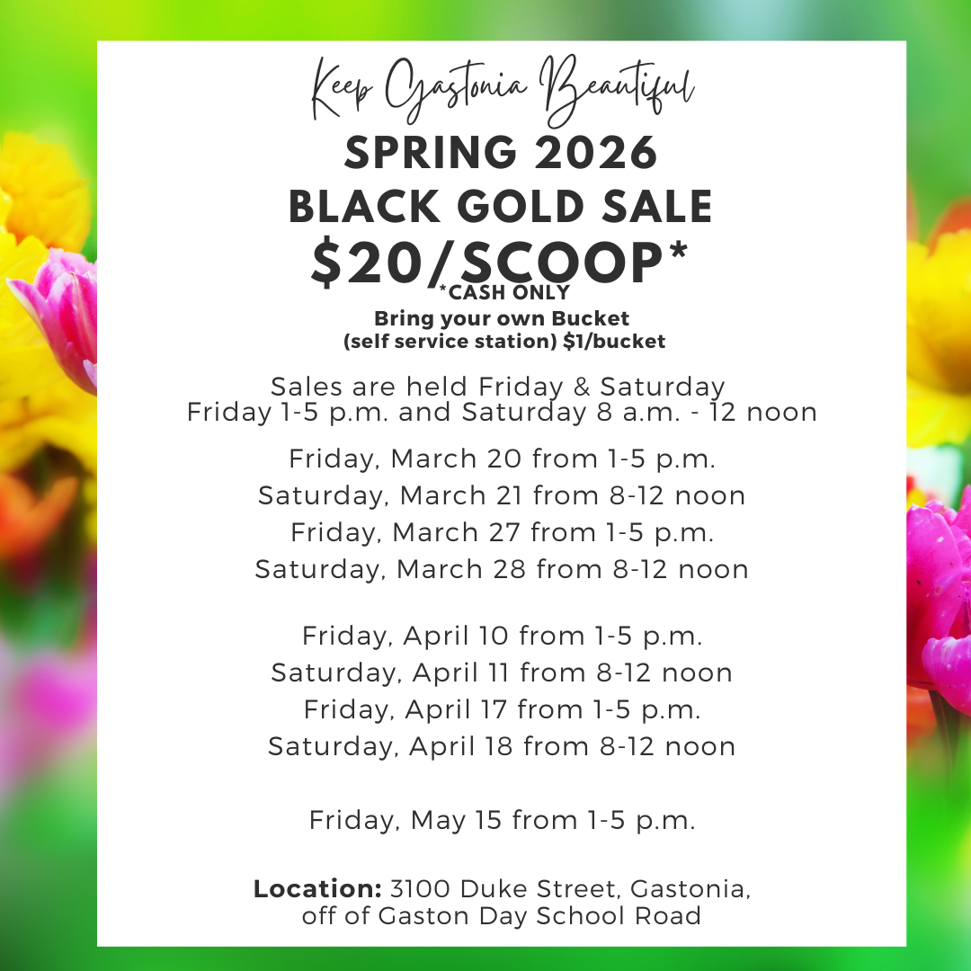 Black_Gold_Spring Graphic