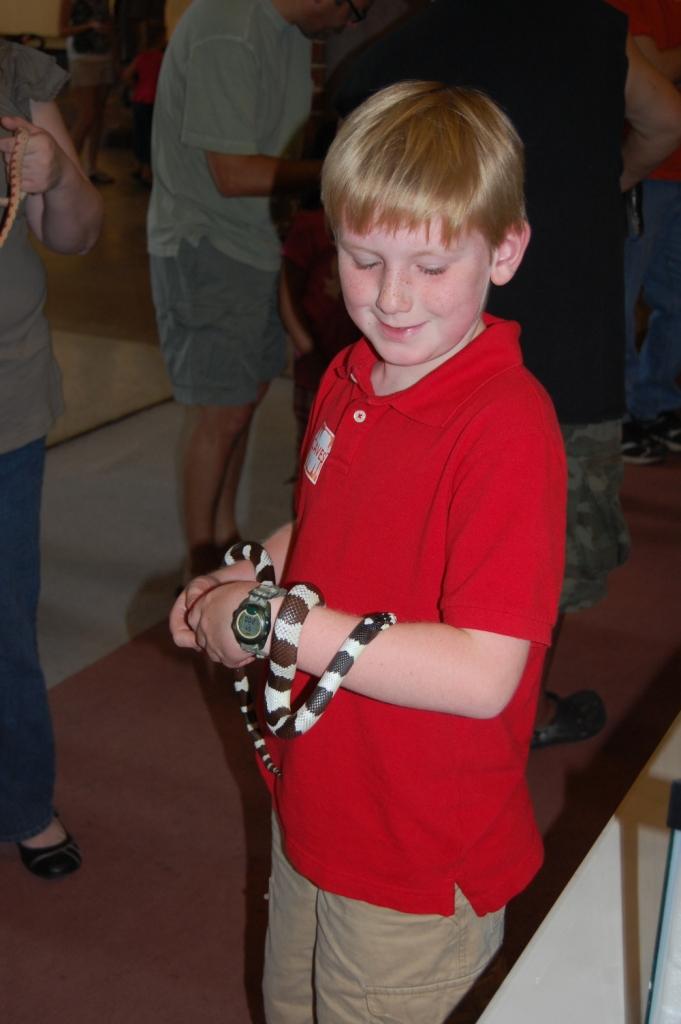 Schiele boy with snake 2011 DSC 1150 compressed
