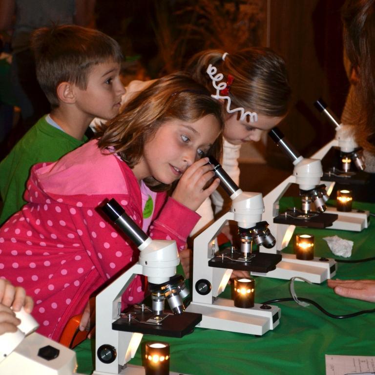 Schiele bugs microscope kids 2012 Bug001 compressed