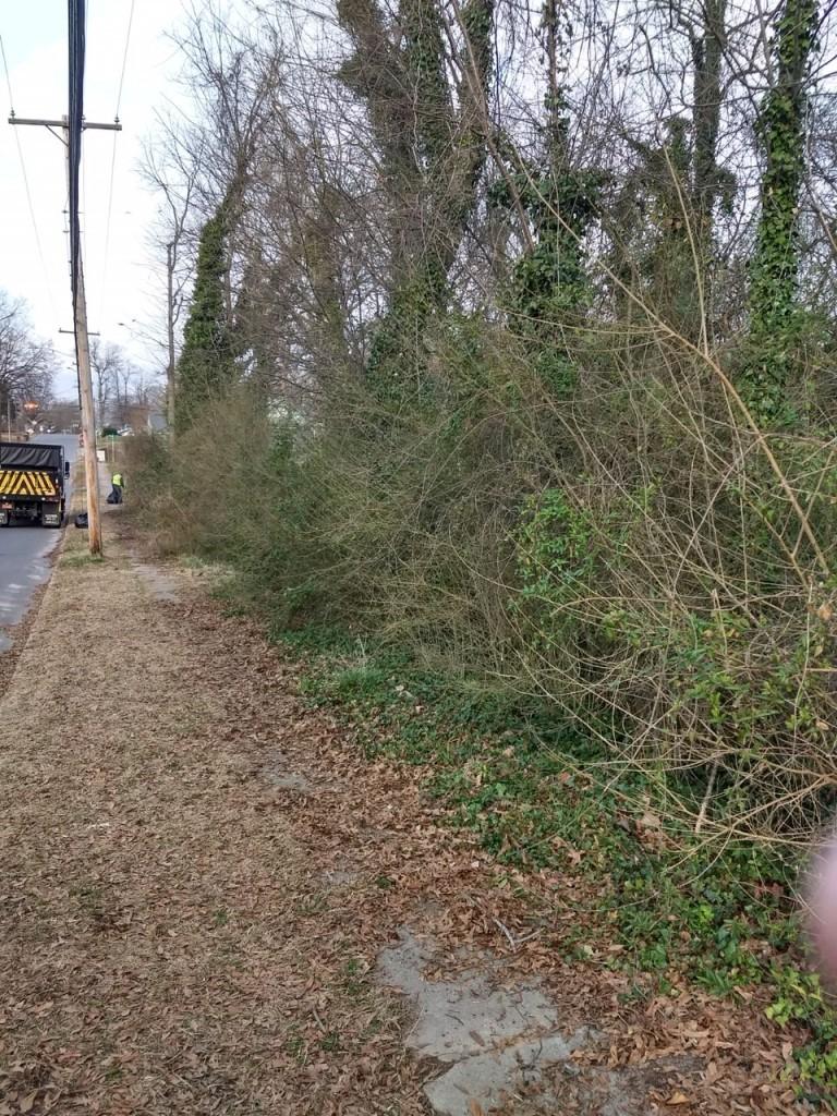 Sidewalk Right of Way Before Rankin Ave 2 18 2019