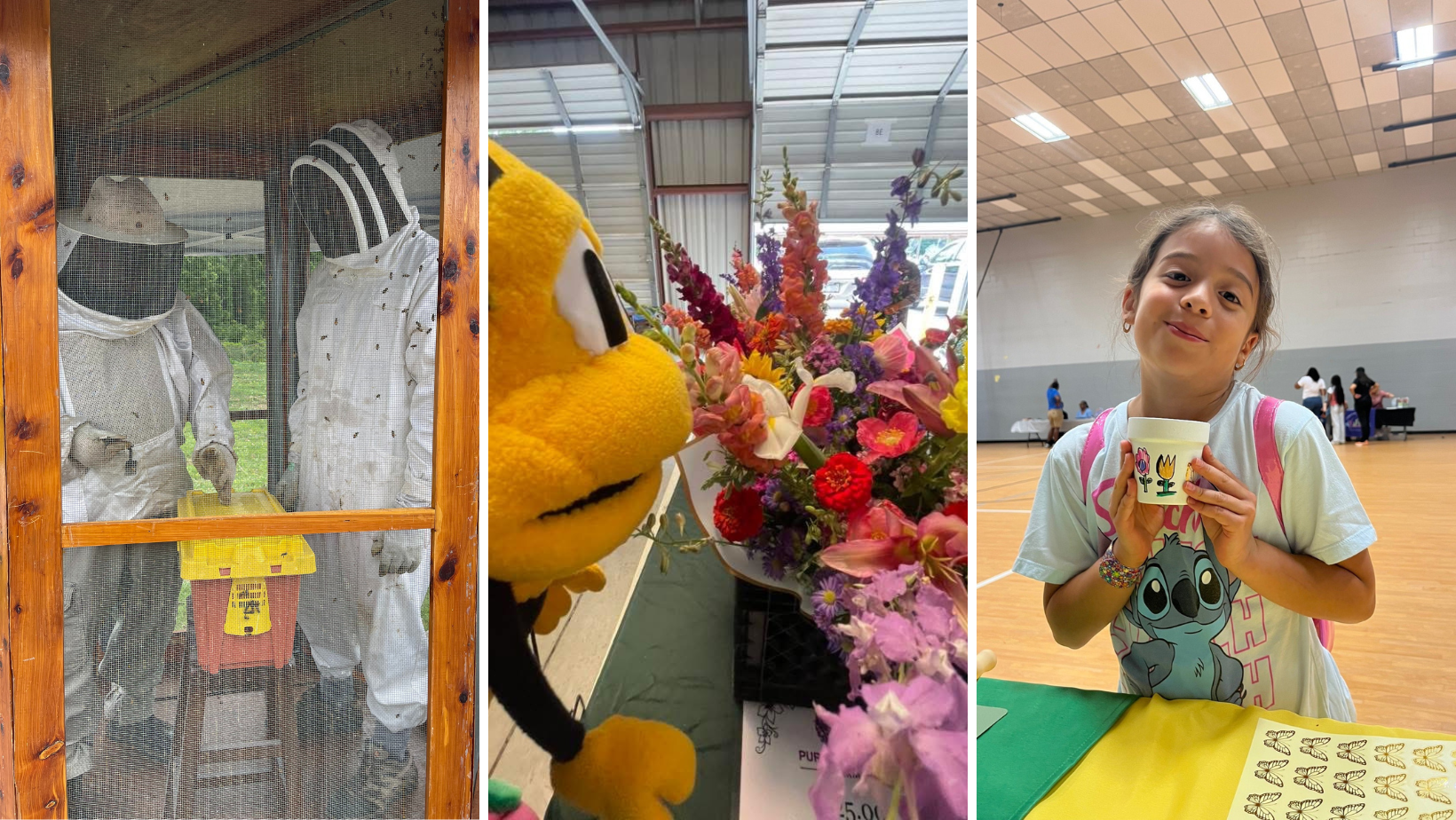 frame with 3 pictures of Bee City programming