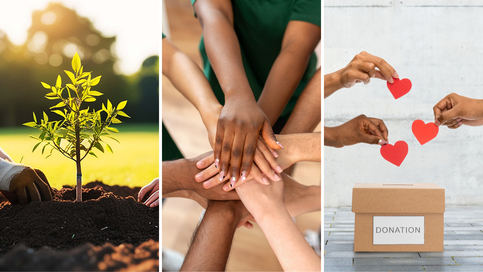 3 frames with ways people can give back to the organization