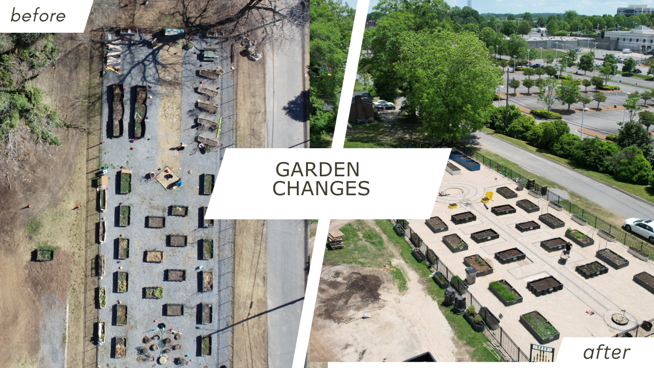 Visuals of Garden changes