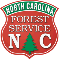 Logo for NC Forest Service